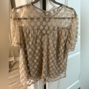 Shannon Ford New York Tan Top, sheer dots inset and  Sleeves, Size XL.